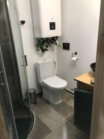 La Brindille Petit Mas Provencal Meuble De Tourisme 3 Etoiles 2-3 Personnes 1 Piece 30 M2 Tout Confort Lisiere Foret Jardin Jacuzzi Piscine Saint-Paul-en-Forêt Екстериор снимка