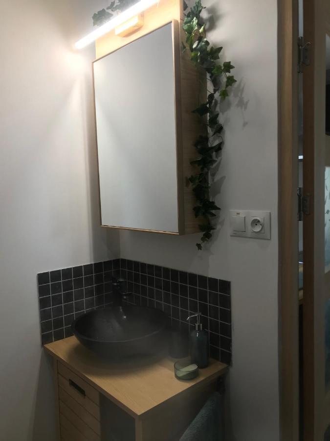 La Brindille Petit Mas Provencal Meuble De Tourisme 3 Etoiles 2-3 Personnes 1 Piece 30 M2 Tout Confort Lisiere Foret Jardin Jacuzzi Piscine Saint-Paul-en-Forêt Екстериор снимка