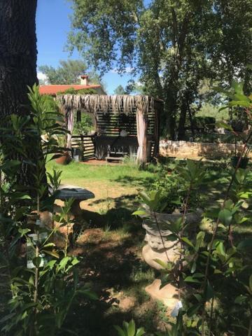La Brindille Petit Mas Provencal Meuble De Tourisme 3 Etoiles 2-3 Personnes 1 Piece 30 M2 Tout Confort Lisiere Foret Jardin Jacuzzi Piscine Saint-Paul-en-Forêt Екстериор снимка